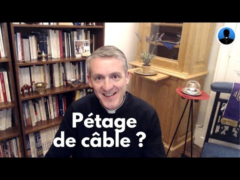 Réplique à l’abbé Amar : éloge (paulinien) de la division